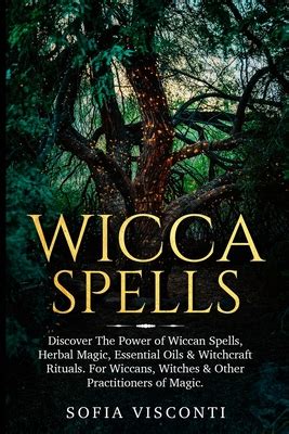 What higher powers do wiccans acknowledge